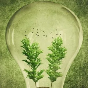 Green Electrical Solutions: Eco-Friendly Practices for Homes